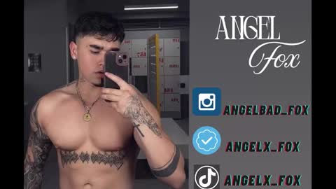 Angel Fox online show from September 29, 9:41 am