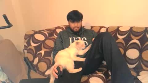 Deimos online show from December 15, 4:08 am