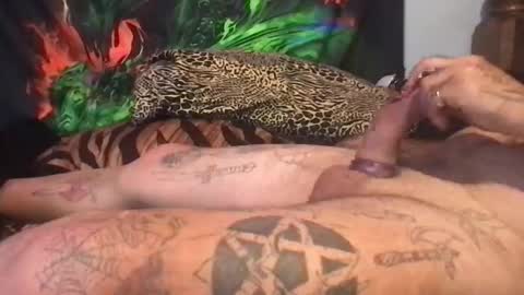 angusbone01 online show from November 29, 8:16 pm