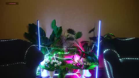 Anita online show from December 21, 8:10 am