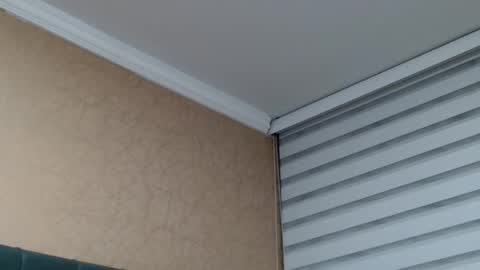       online show from January 15, 1:47 am