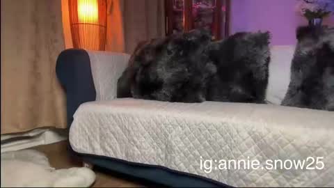 JEANNE no olvides seguirme dont forget follow me  uu online show from February 27, 4:24 am