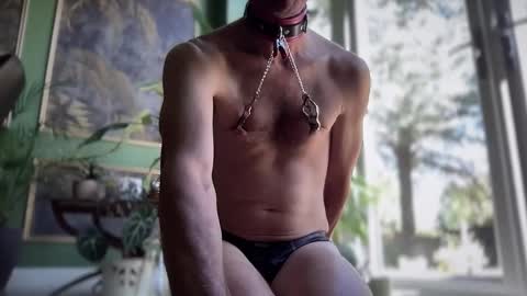 ansal1001 online show from September 9, 11:21 am