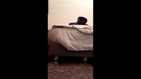 antonino85 online show from February 10, 5:16 pm