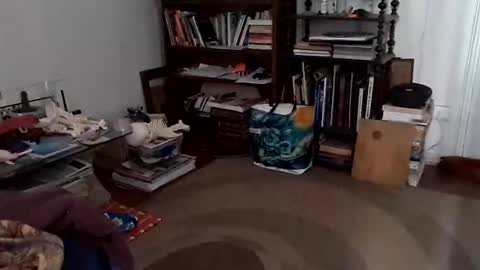 antonino85 online show from December 24, 7:11 pm