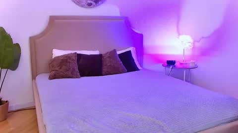 Any  online show from November 23, 5:38 am