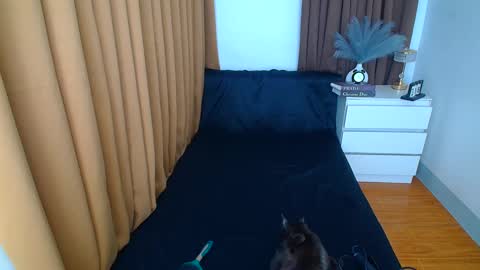 ARABELLA online show from March 9, 12:21 am