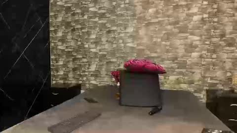 Ariana online show from September 20, 2:20 pm