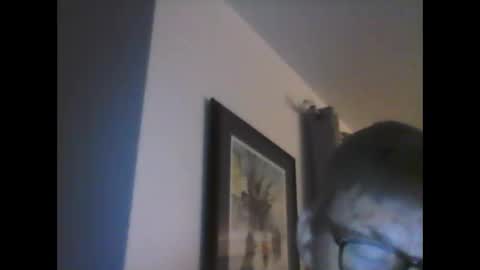 ariens online show from January 14, 6:45 am