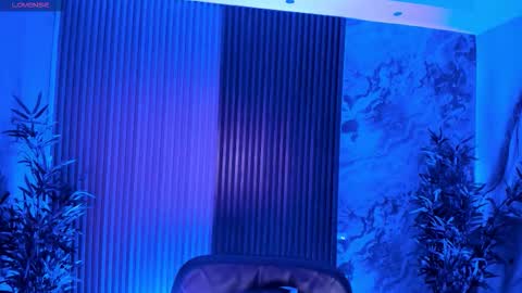 Arigy  Everyday From 1430 to 2130 Col Time online show from November 8, 7:06 pm