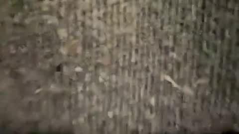 airskiii online show from January 6, 4:26 am