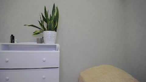 arinamir online show from February 5, 2:04 am