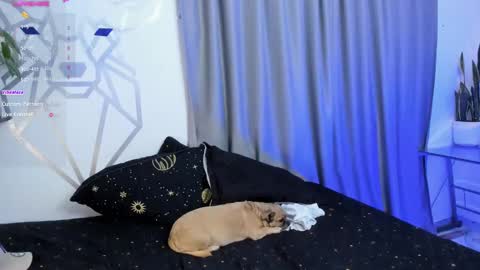 Snapshot of aron_santoro1 chatting on January 12, 4:31 am Aron Santoro online show from January 12, 4:31 am