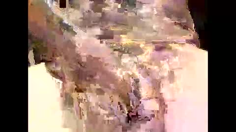 aushsi25 online show from December 16, 1:50 pm