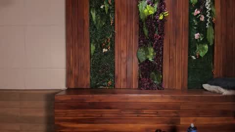 Austin  online show from March 1, 7:18 pm