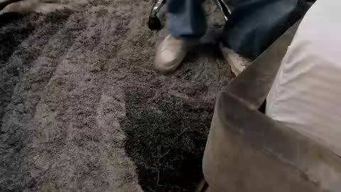 austinreeds online show from October 26, 9:47 pm