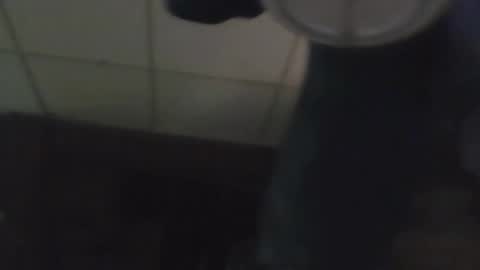 Senior Agua online show from November 2, 10:15 am