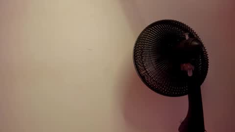 aylah_beckham online show from February 10, 12:41 pm