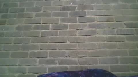 Chaterlain online show from January 19, 1:01 pm