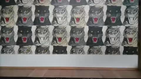 Bas online show from March 6, 4:07 pm