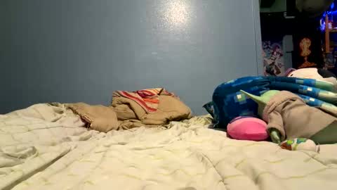 bathingcat online show from April 23, 1:57 am