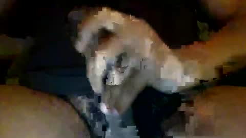 Batthebite online show from October 18, 8:57 pm