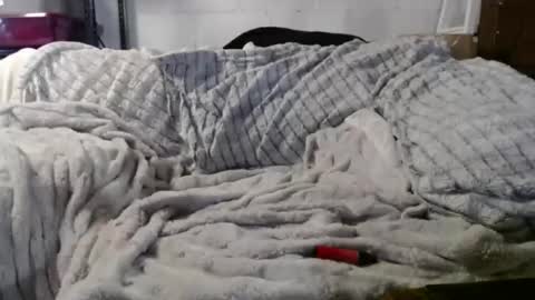 BeachyMILF online show from January 15, 3:15 am