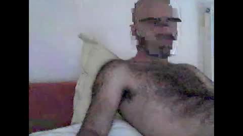 bear14250949 online show from November 12, 10:50 am