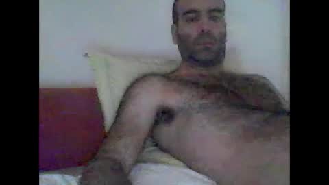 bear14250949 online show from November 7, 8:28 am