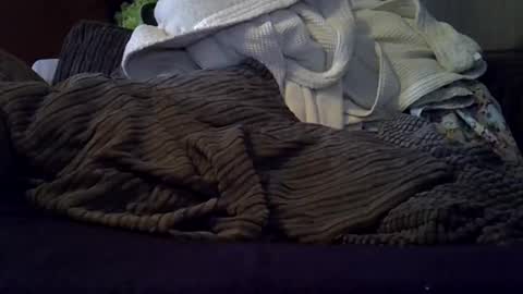 beatlebut online show from October 8, 12:40 am