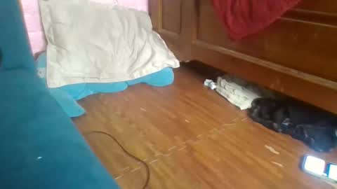 beebaby_xx online show from November 16, 3:36 pm