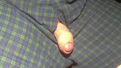  Reservoir Dogs online show from November 3, 1:50 am