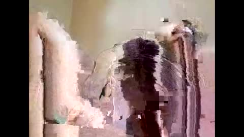 bibear6993 online show from May 9, 9:54 pm