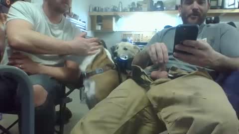 bicboy007 online show from March 8, 2:34 am