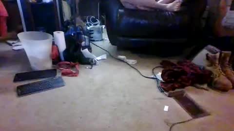 BB online show from March 17, 12:59 am