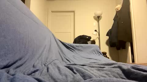 Buster685 online show from November 19, 7:08 am