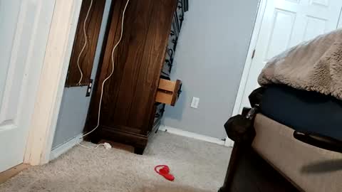 bigcockdaddy247 online show from December 17, 5:07 am