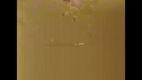 bigdaddydongarlets391292 online show from October 17, 8:07 am