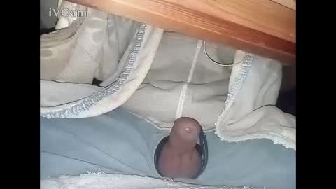 Big online show from February 4, 3:22 am