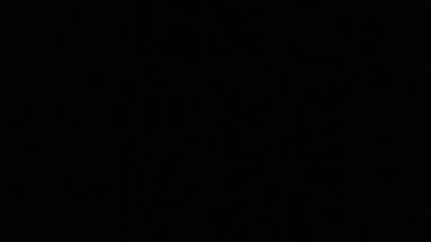 bigdickfitdude29 online show from April 11, 5:01 am