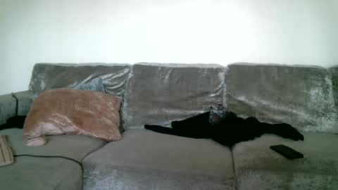 CAJEinc online show from February 15, 5:39 pm