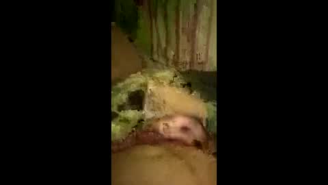 bigdog9thick online show from March 29, 7:32 am