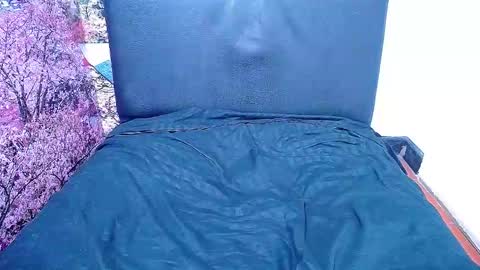  Sunny   online show from November 11, 5:31 am