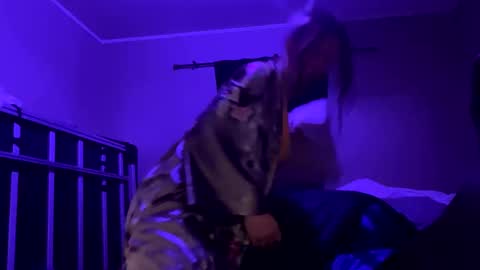 Bigkitties online show from January 23, 2:17 pm