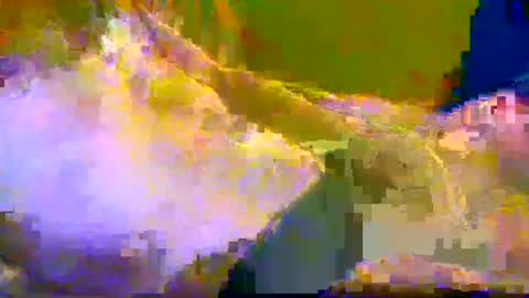 bigrig online show from December 10, 12:16 pm