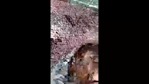 Snapshot of bigwalkdog420 chatting on December 25, 2:56 pm bigwalkdog420 online show from December 25, 2:56 pm