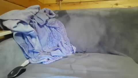 bik40 online show from December 27, 10:59 pm