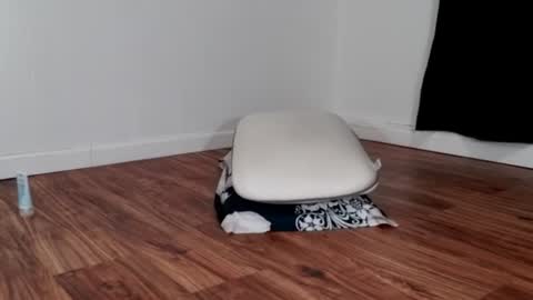 bilie11 online show from February 5, 9:18 pm