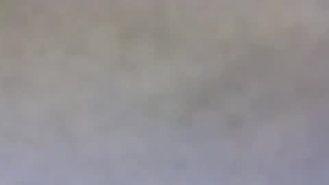 Snapshot of billmenow141 chatting on December 19, 8:24 am billmenow141 online show from December 19, 8:24 am