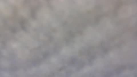 Snapshot of billmenow141 chatting on February 11, 10:03 am billmenow141 online show from February 11, 10:03 am